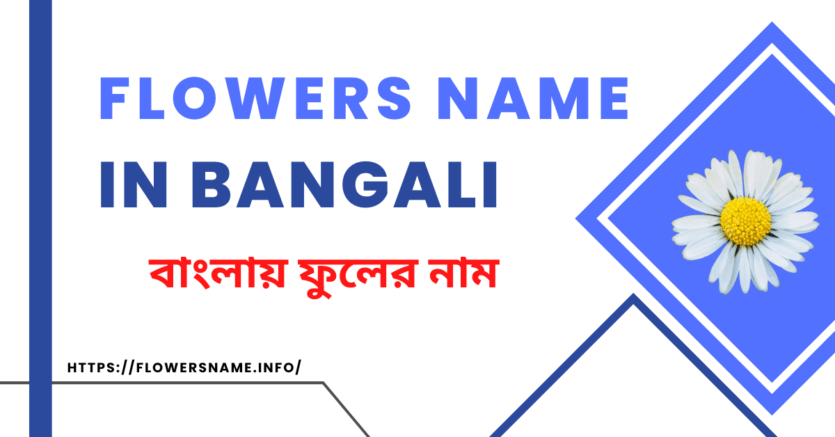 Flowers Name In Bangali