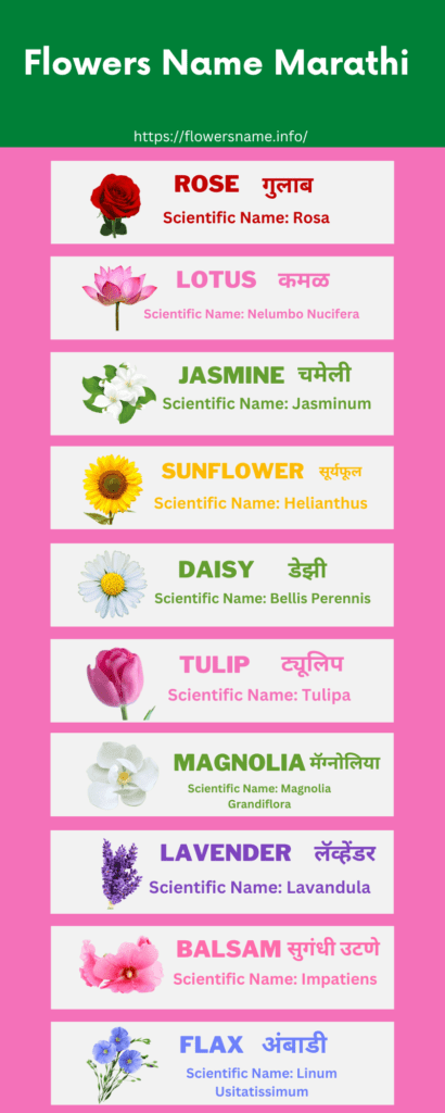 Flowers Name In Marathi