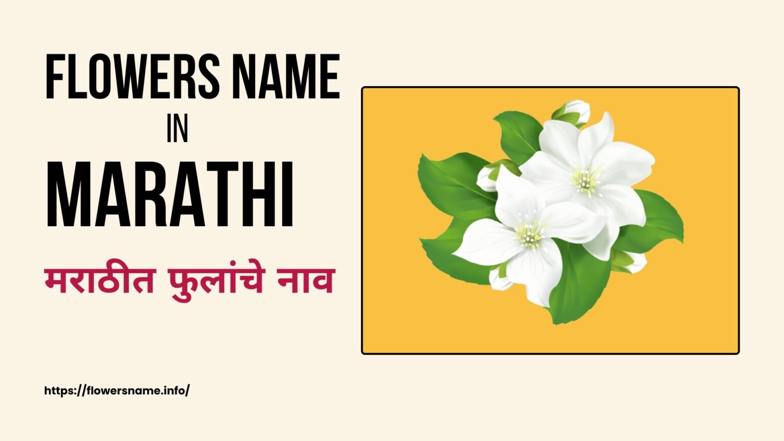 Marathi Language Flowers Name In Marathi With Images at Josephine Topp blog