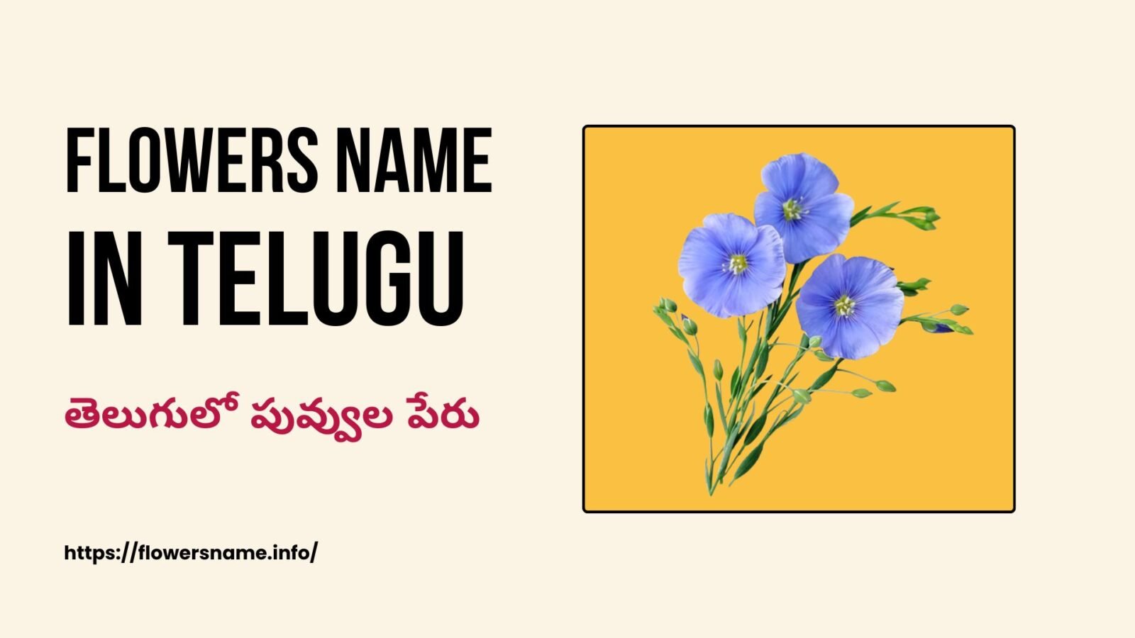 Flowers Name In Telugu