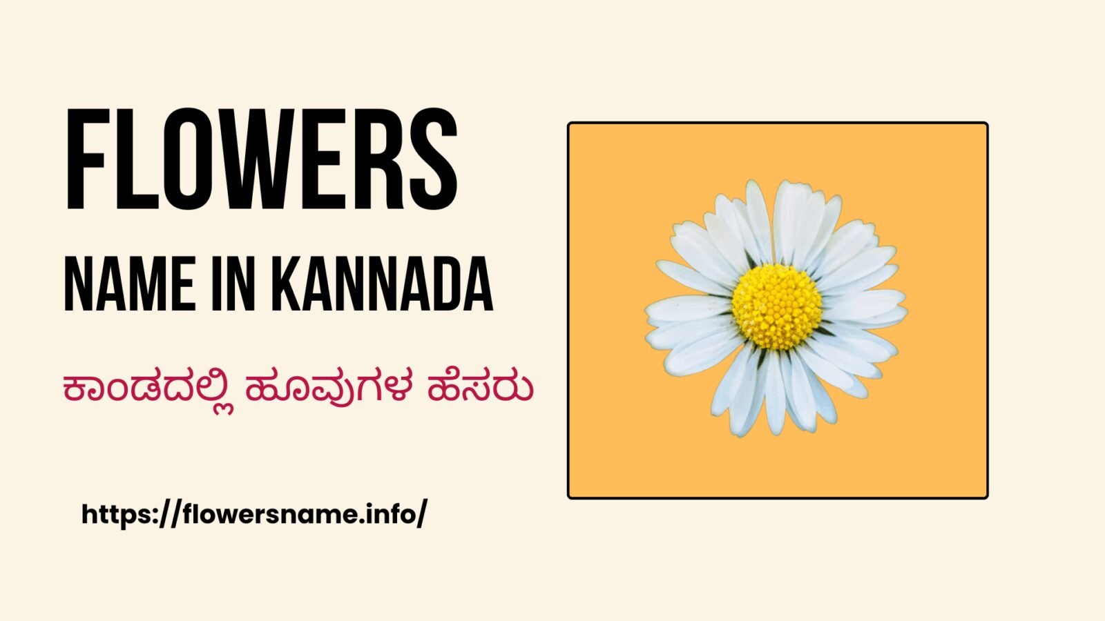 flowers name in kannada