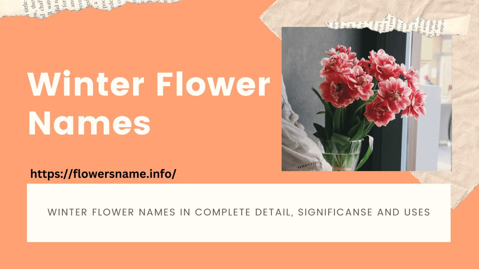 Winter Flowers Name