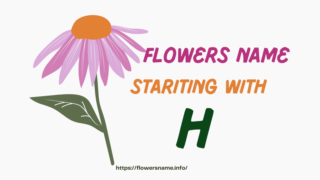 Flowers Name With H