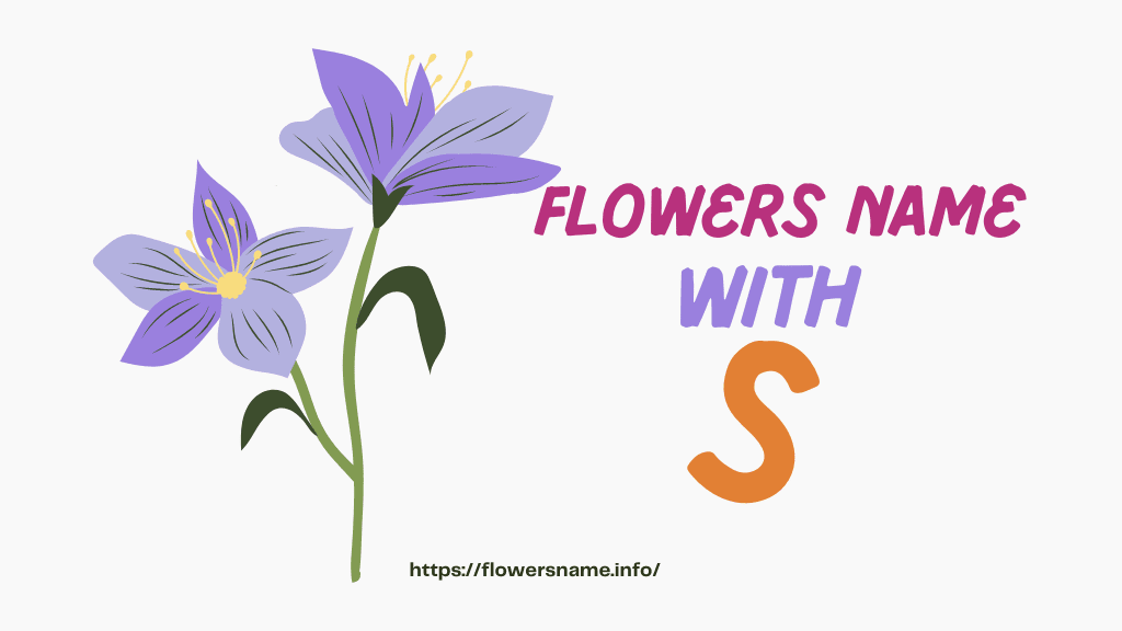 Flowers Name With S