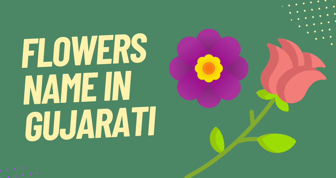 Flowers Name In Gujarati