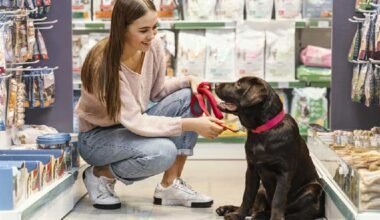 Pet Zone Dubai: A One-Stop Shop for All Your Furry Friends' Needs