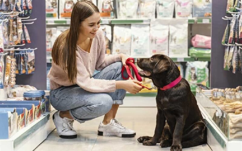 Pet Zone Dubai: A One-Stop Shop for All Your Furry Friends' Needs